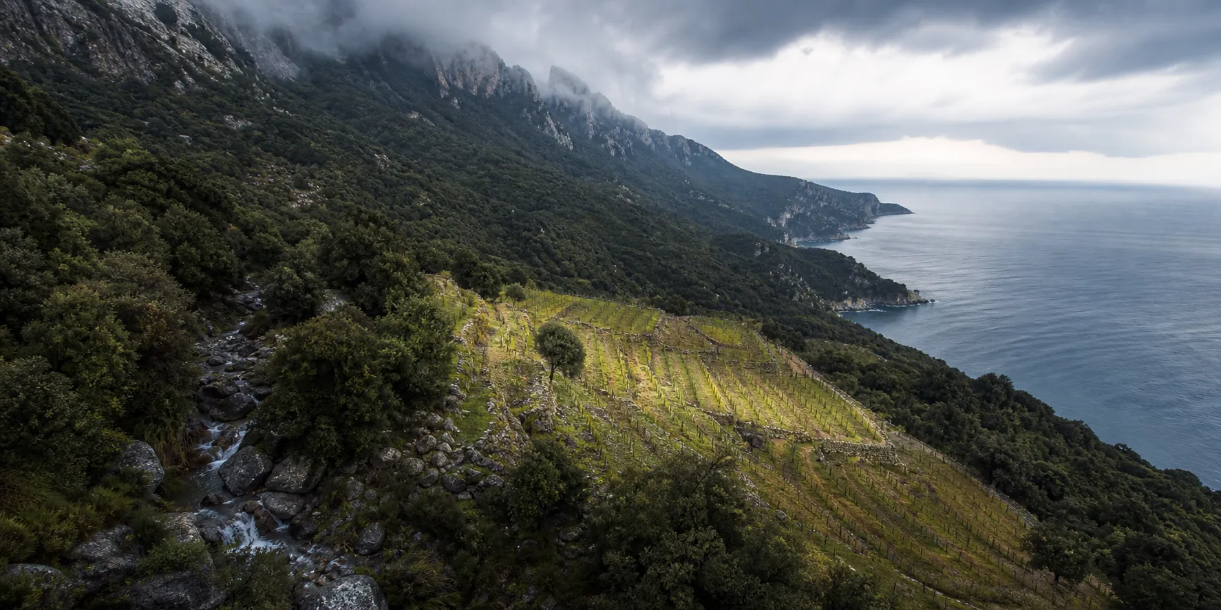 Rain-fed ravine, vineyard slope and Aegean Sea on Mount Athos