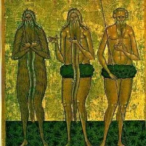 Icon of Peter the Athonite