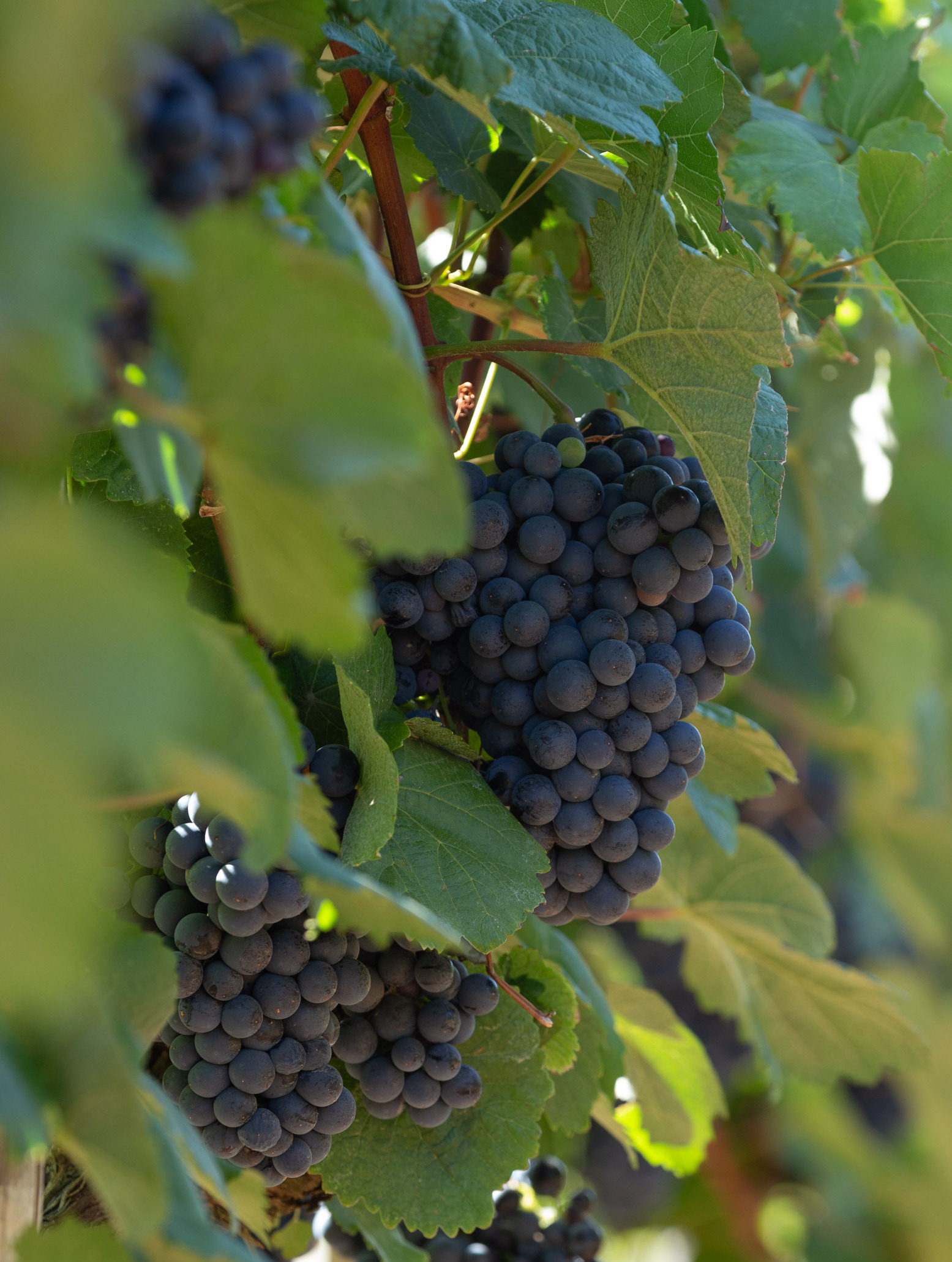 190828_MG_3331_y2160(1)(2)